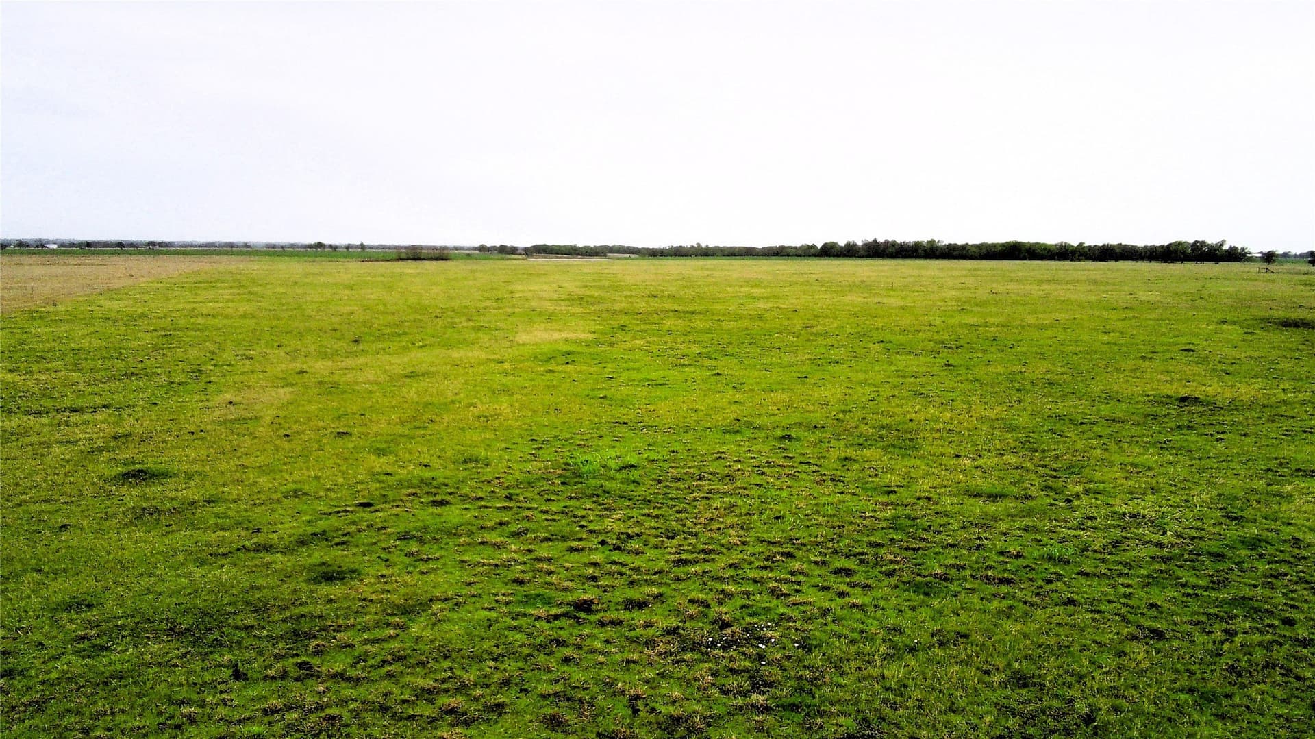 11 acres in Falls County - photo 5