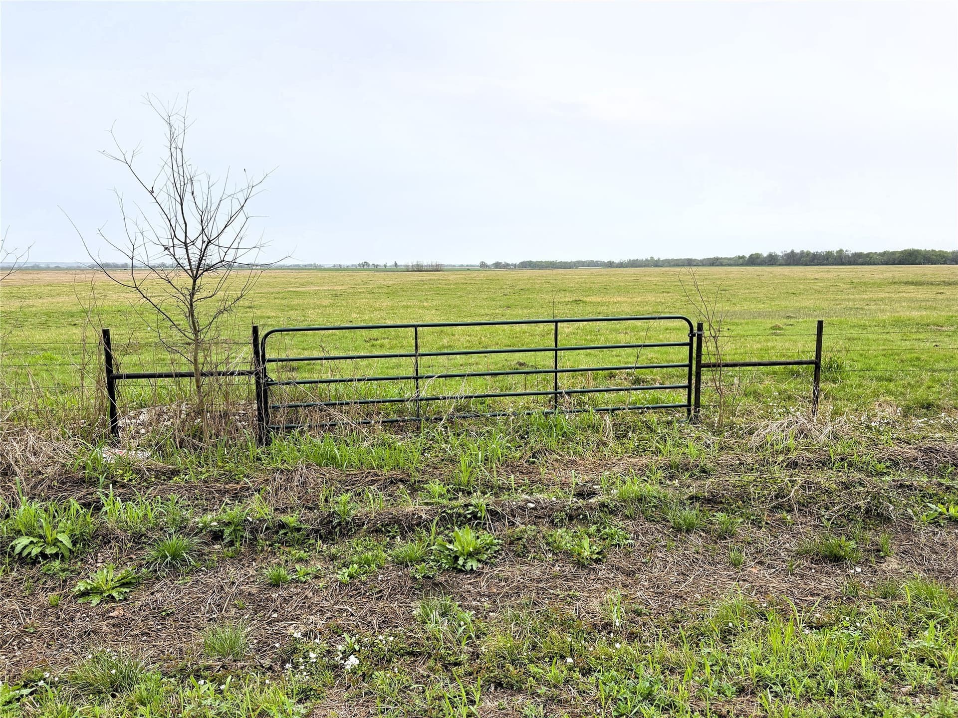 11 acres in Falls County - photo 8