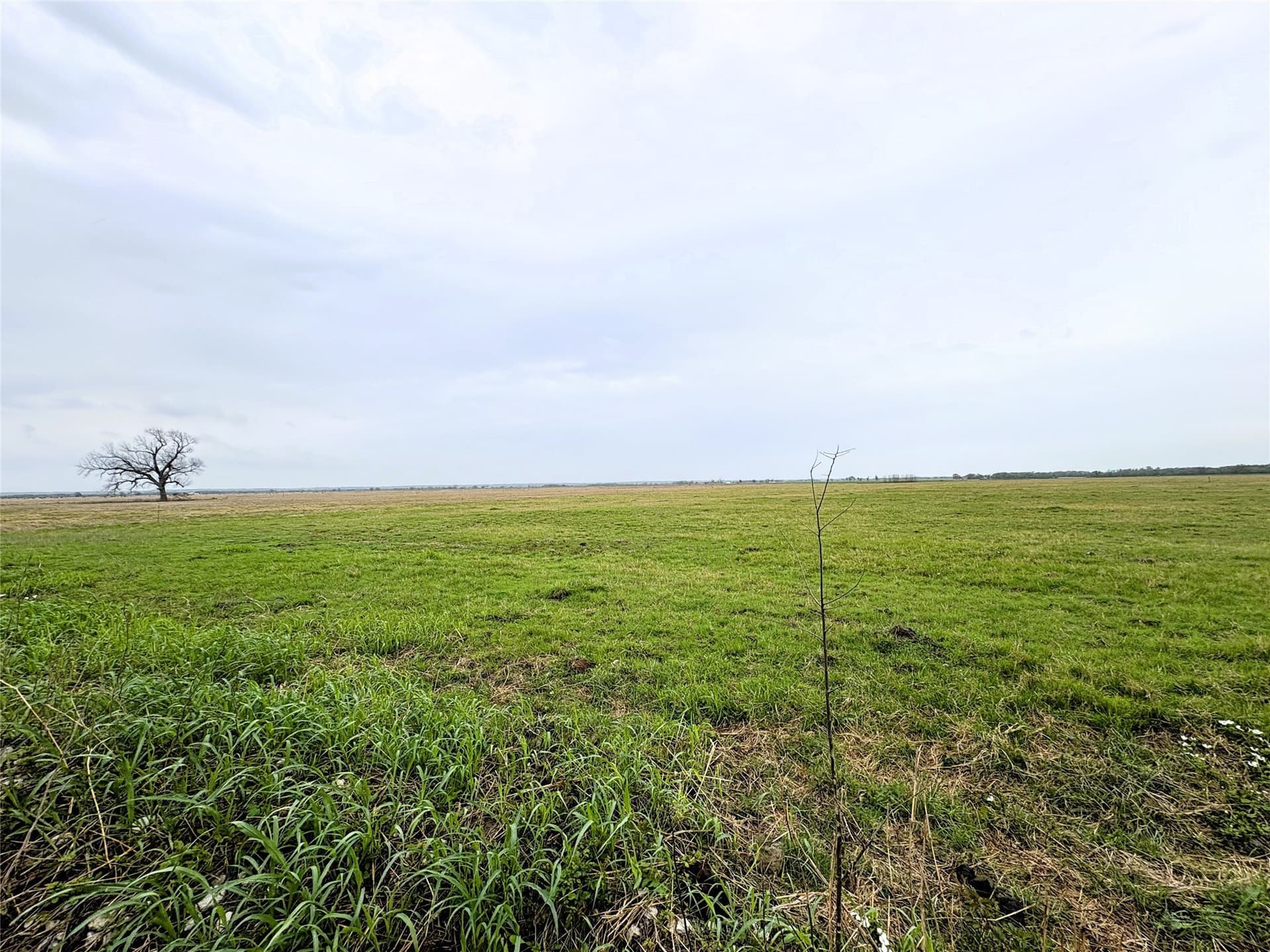 11 acres in Falls County - photo 3