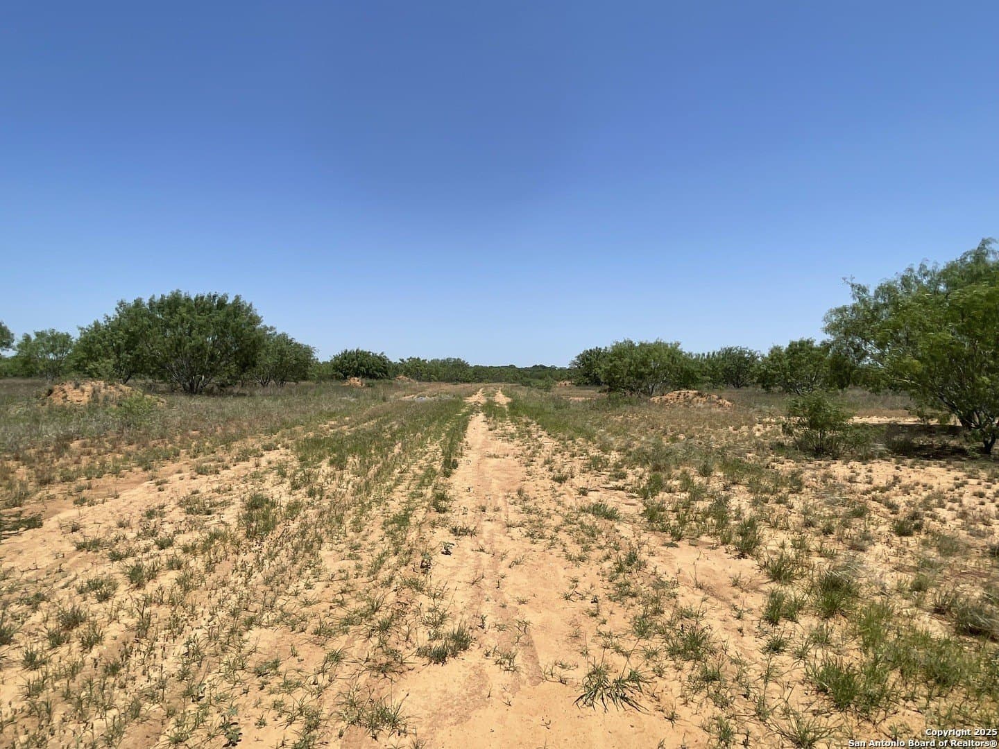 30.32 acres in Medina County gallery image 4