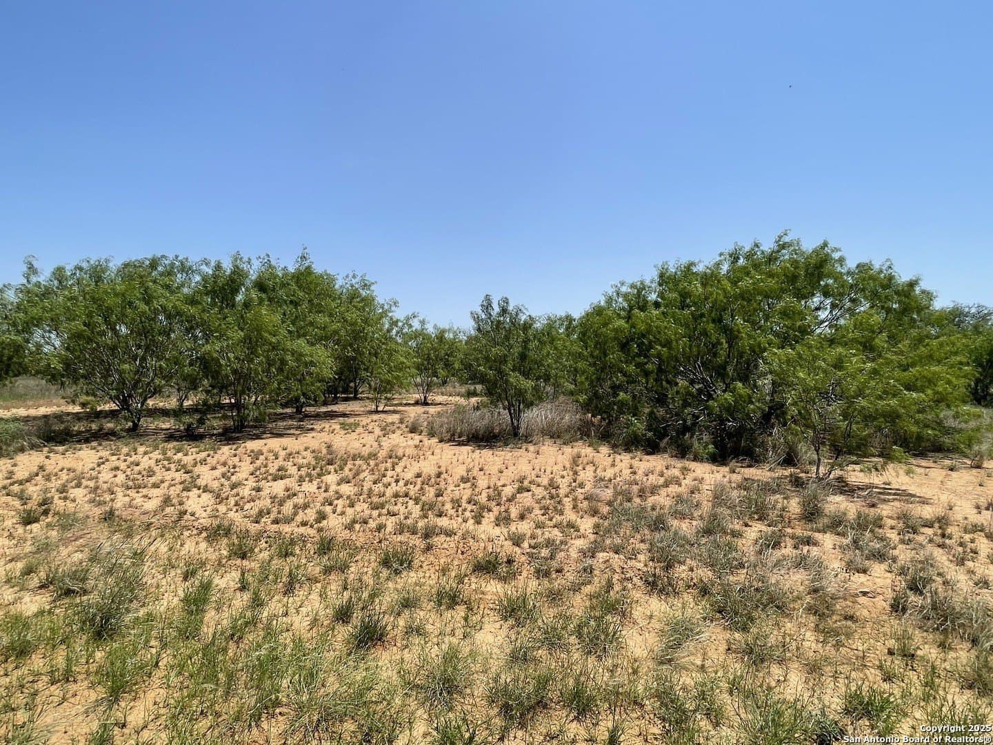 30.32 acres in Medina County gallery image 3