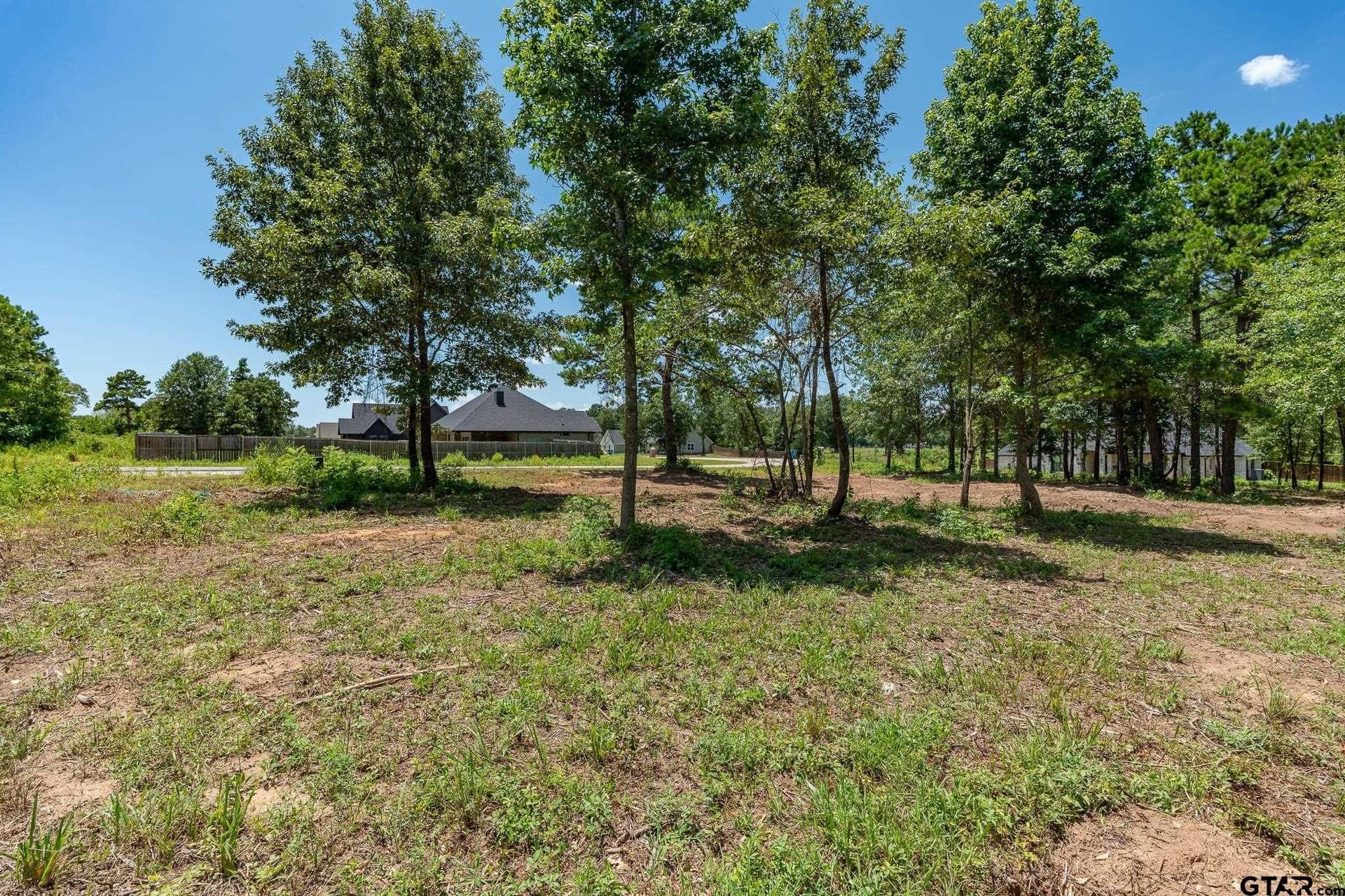 0.6 acres in Smith County gallery image 3