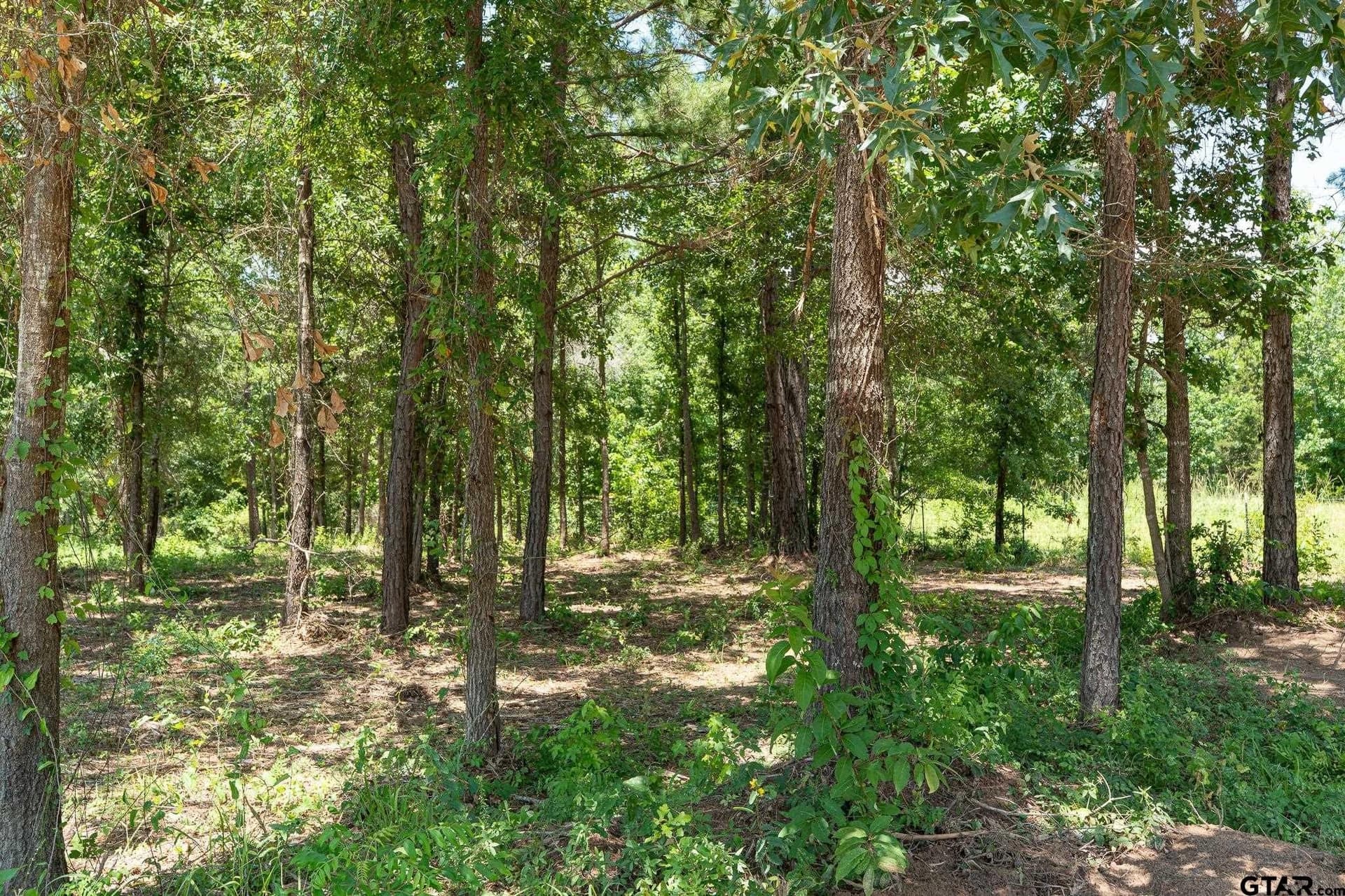 0.6 acres in Smith County - photo 13