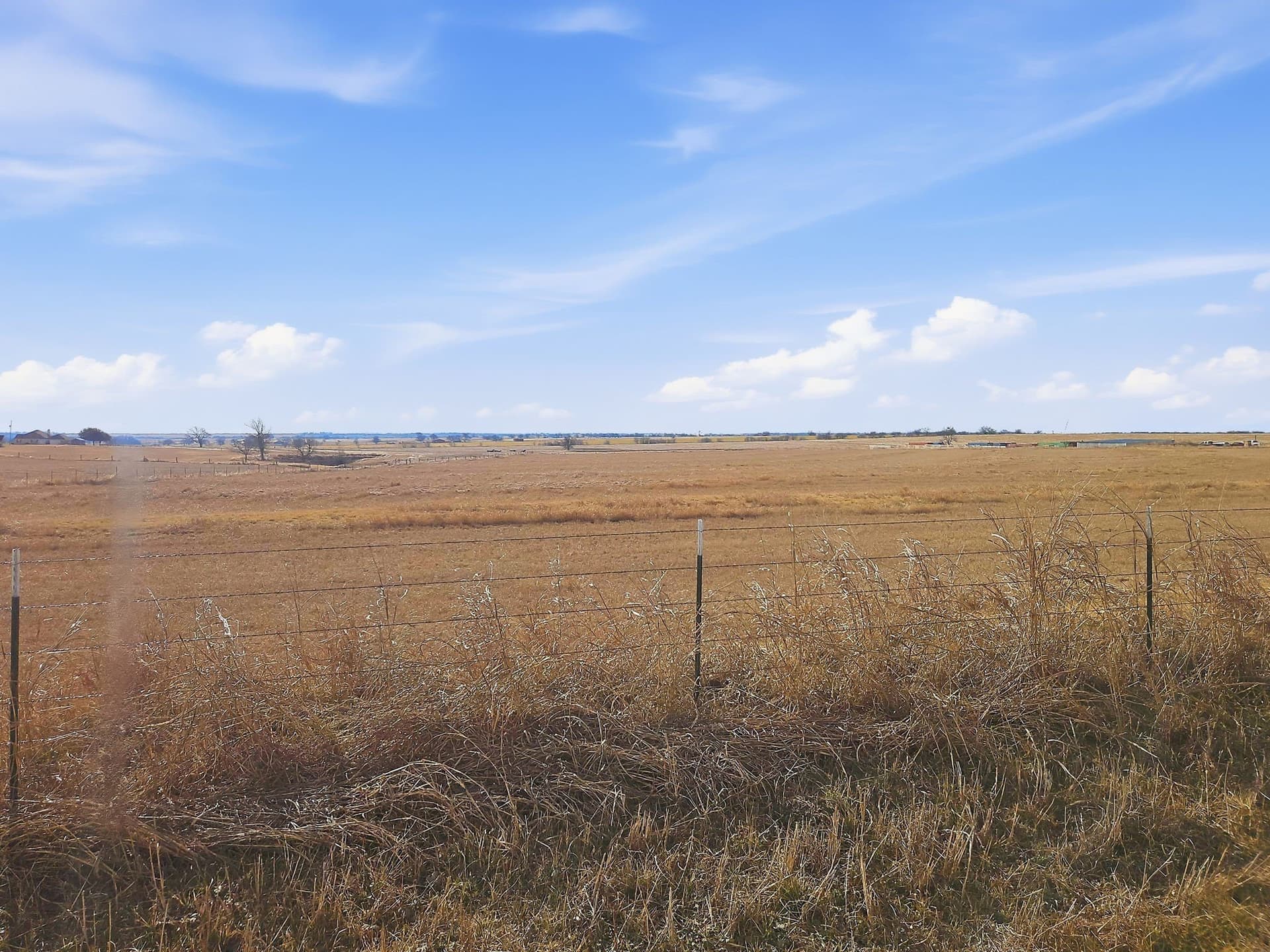 20 acres in Coryell County - photo 8