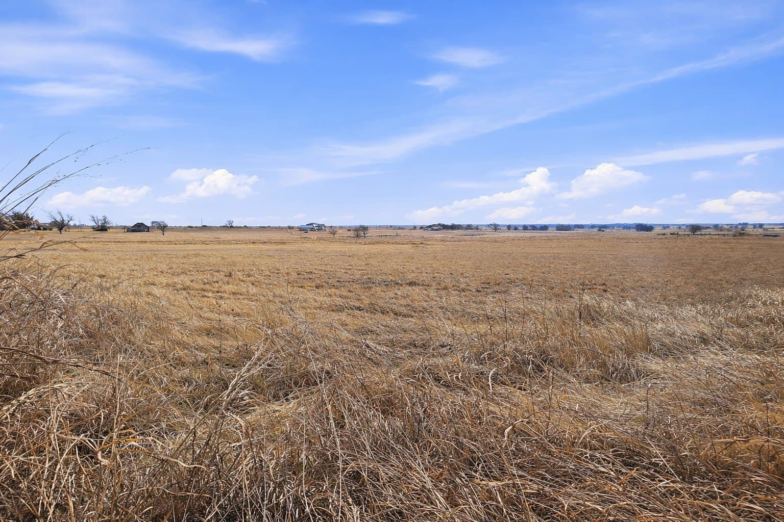 20 acres in Coryell County - photo 5