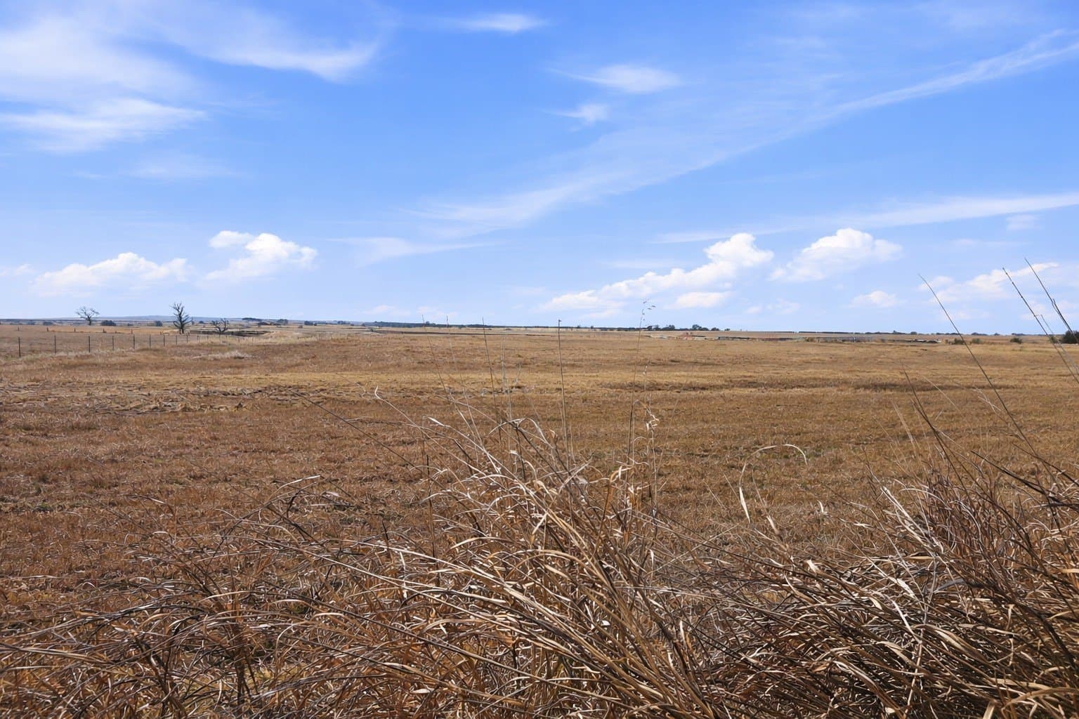 20 acres in Coryell County - photo 6