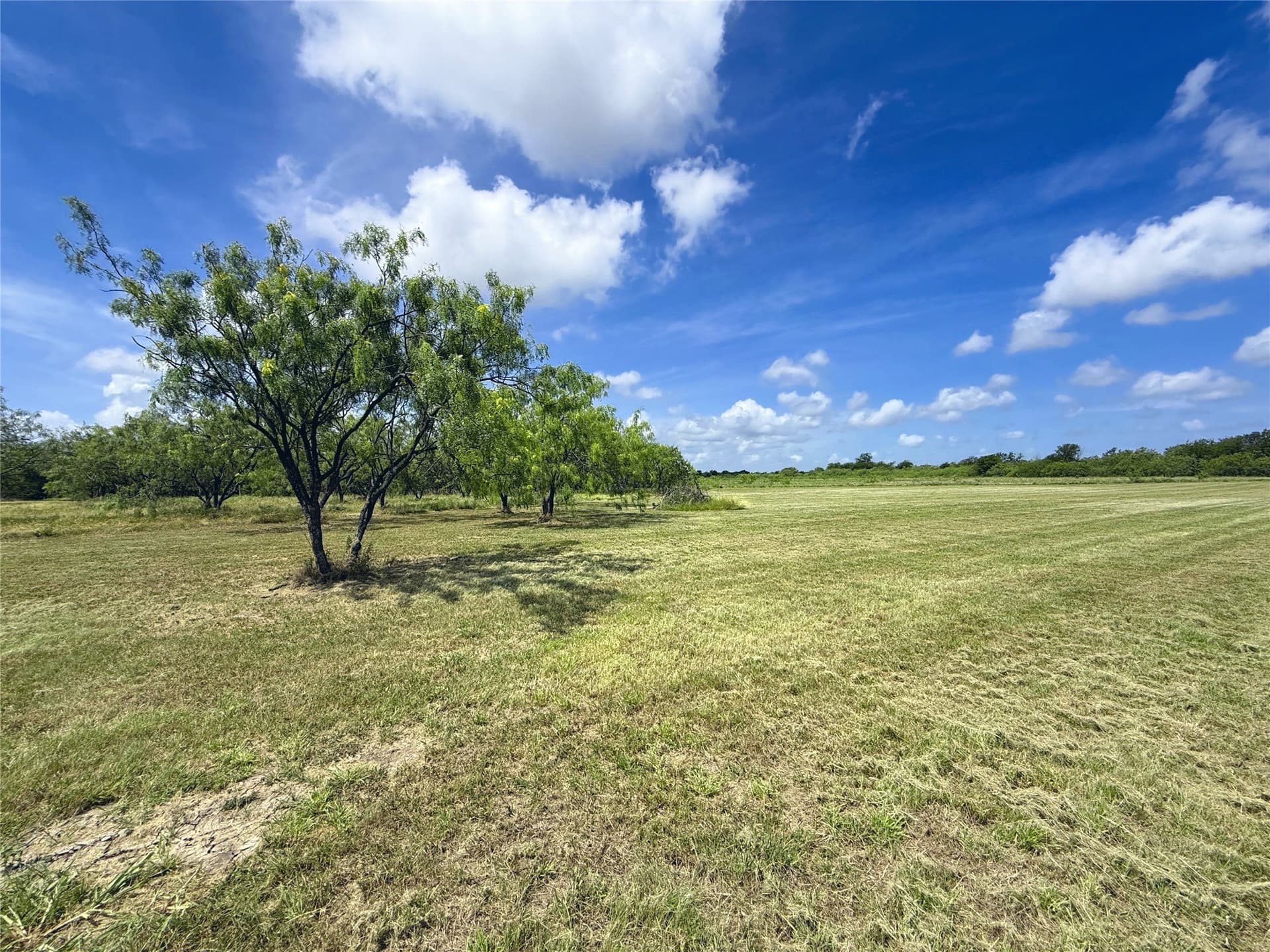 1.62 acres in Navarro County - photo 27