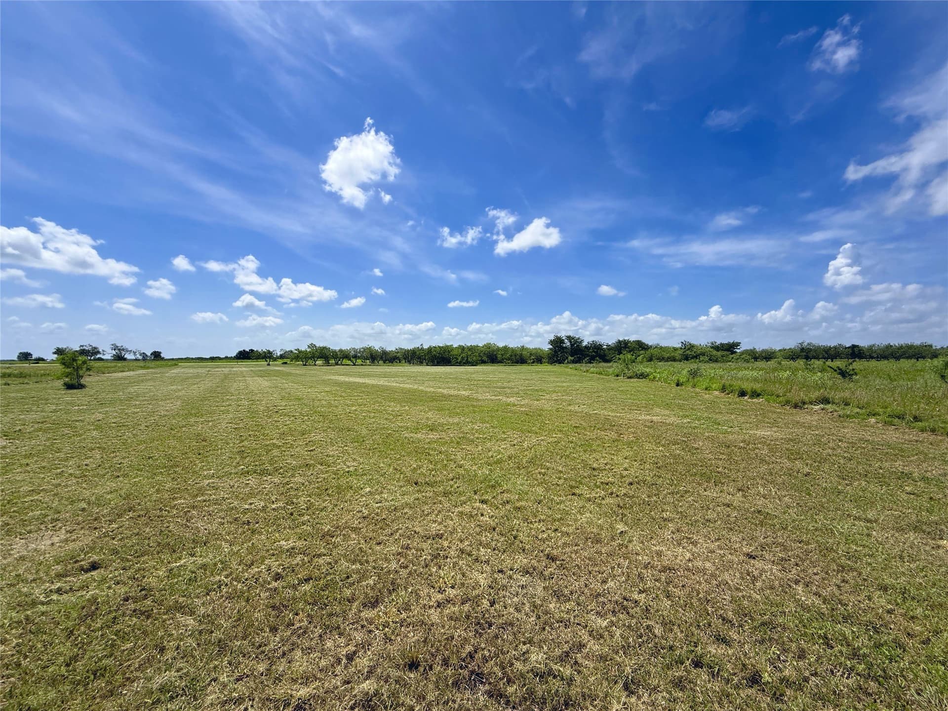 1.62 acres in Navarro County gallery image 3