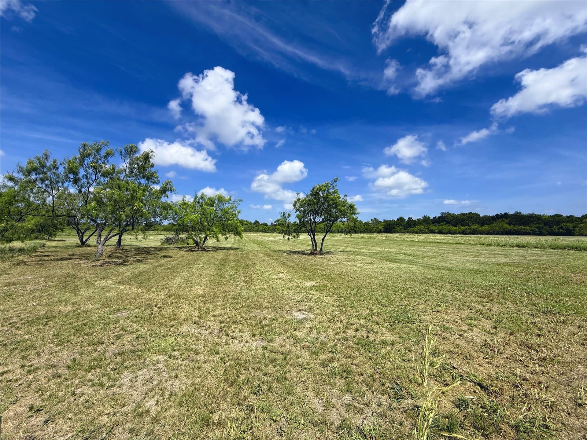 1.62 acres in Navarro County - photo 20