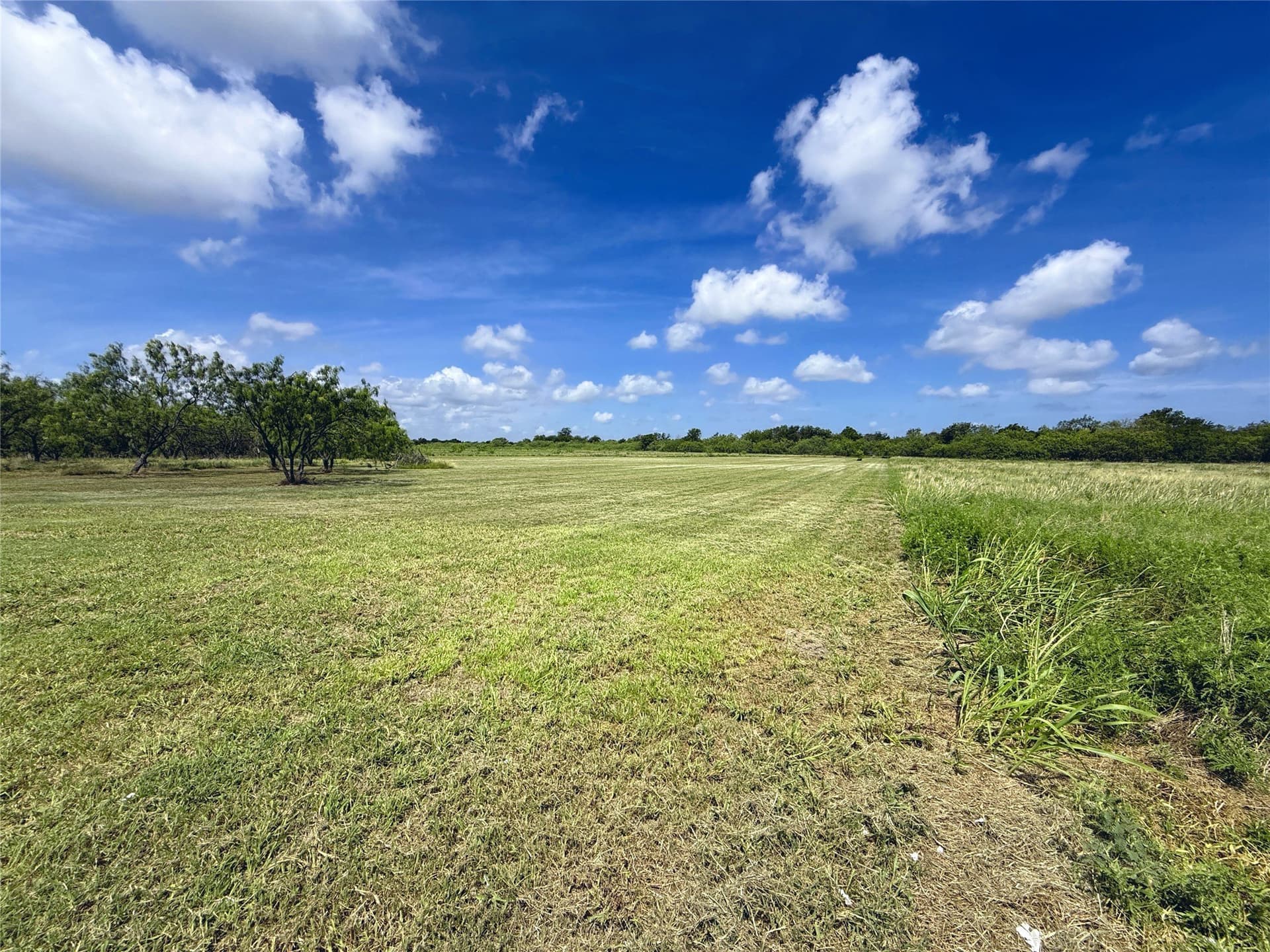 1.62 acres in Navarro County - photo 7