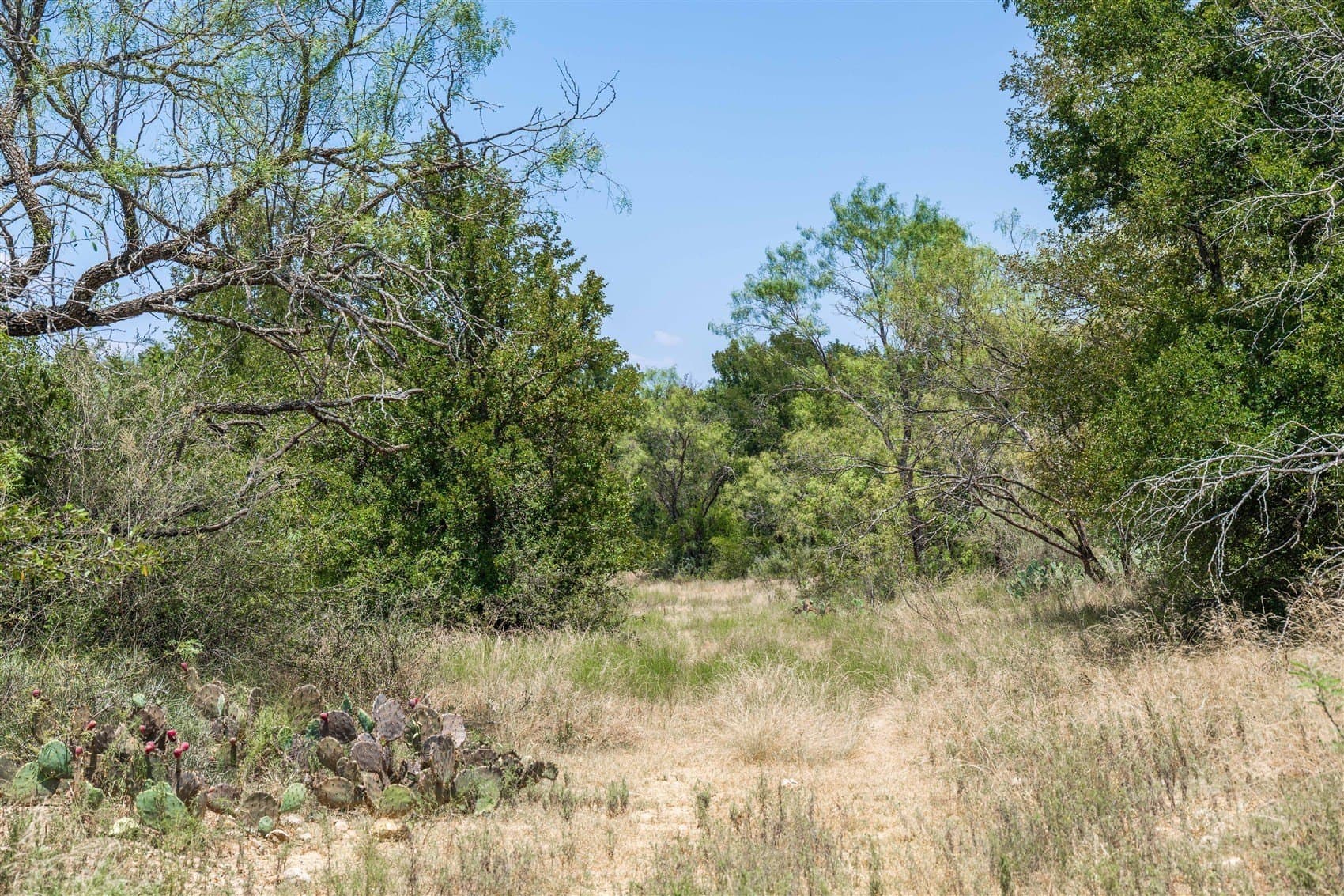 237.65 acres in Brown County - photo 31