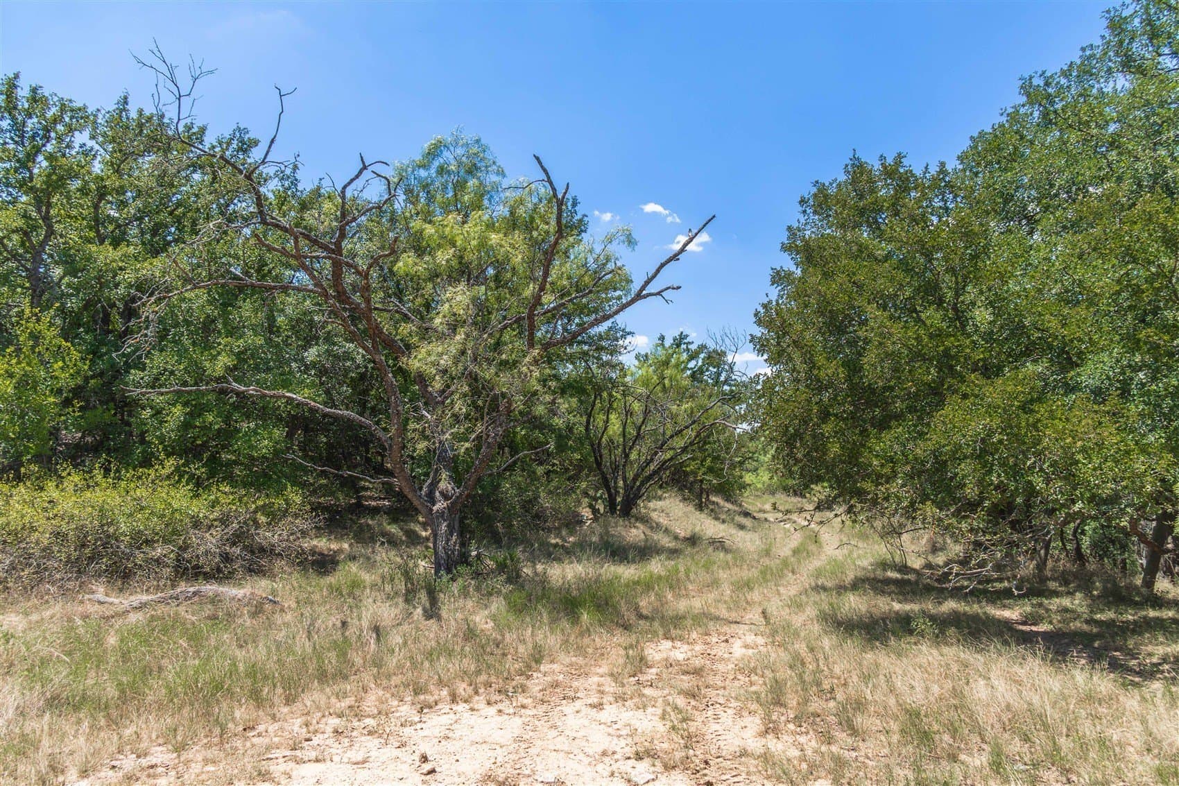 237.65 acres in Brown County - photo 28