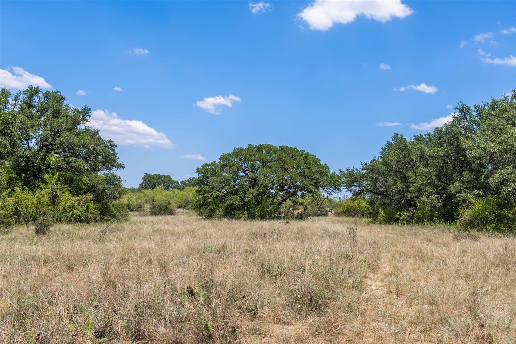 237.65 acres in Brown County - photo 25