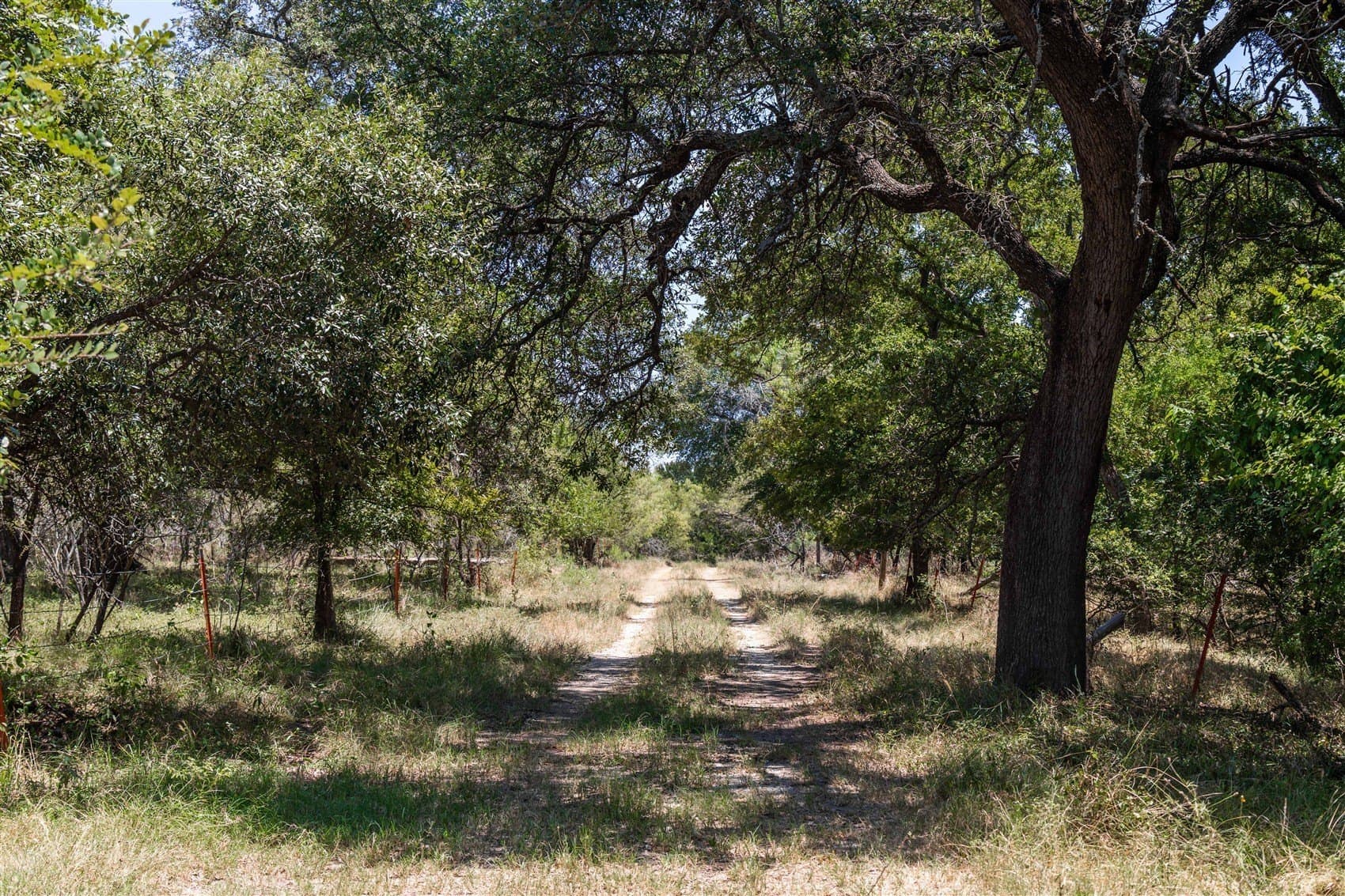237.65 acres in Brown County - photo 23