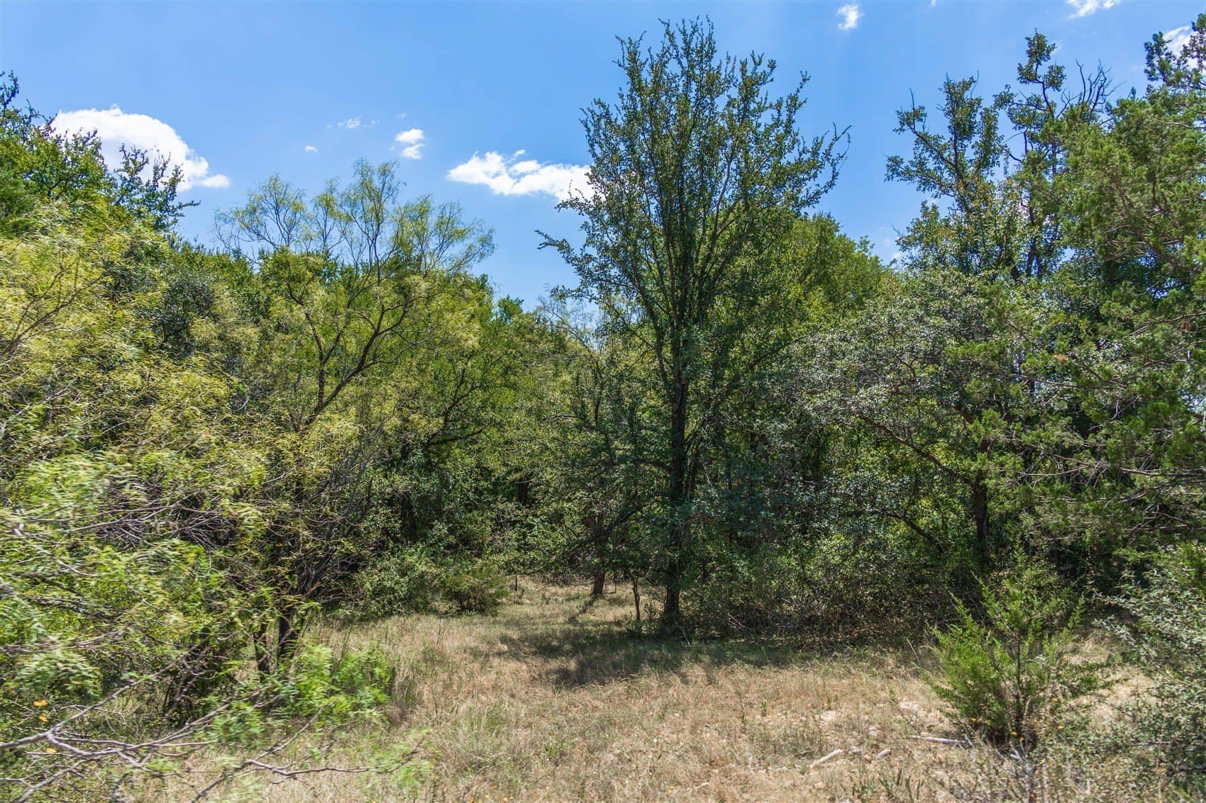 237.65 acres in Brown County - photo 27