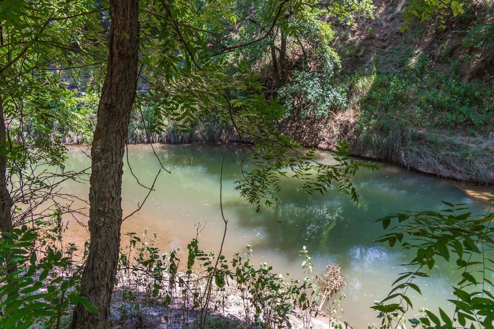 237.65 acres in Brown County - photo 33