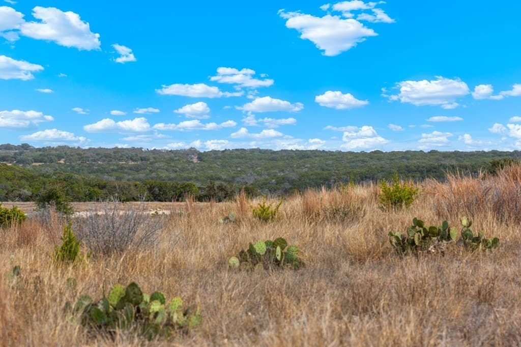 3.08 acres in Gillespie County - photo 6