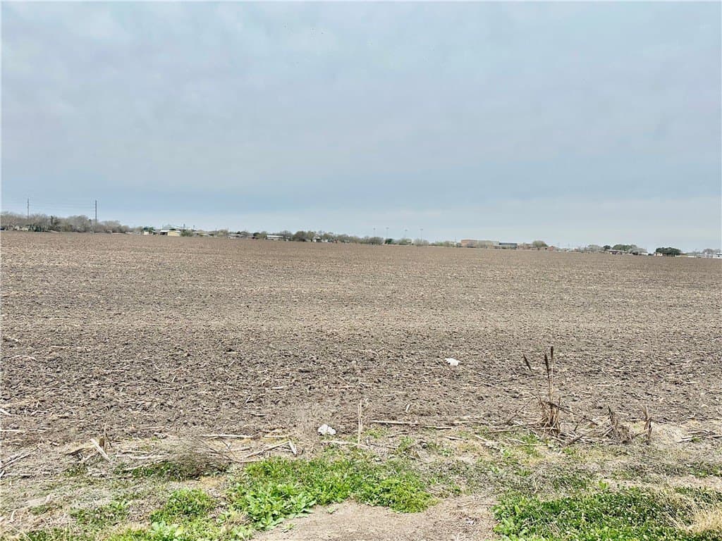 54.08 acres in Nueces County - photo 13