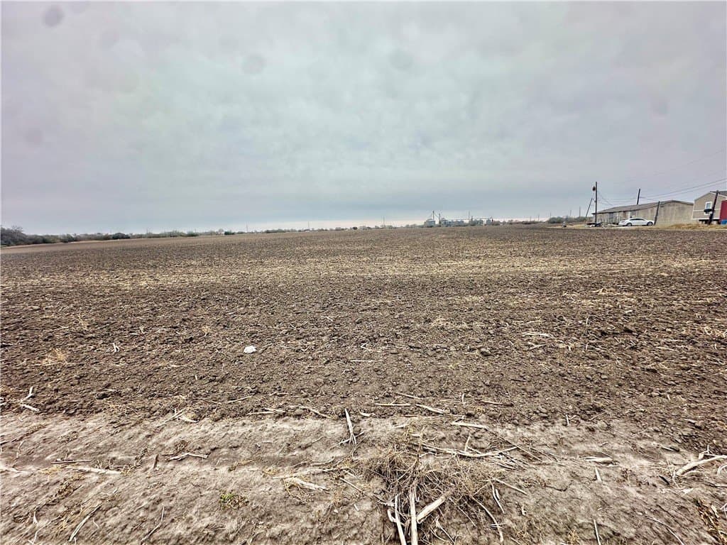 54.08 acres in Nueces County - photo 7