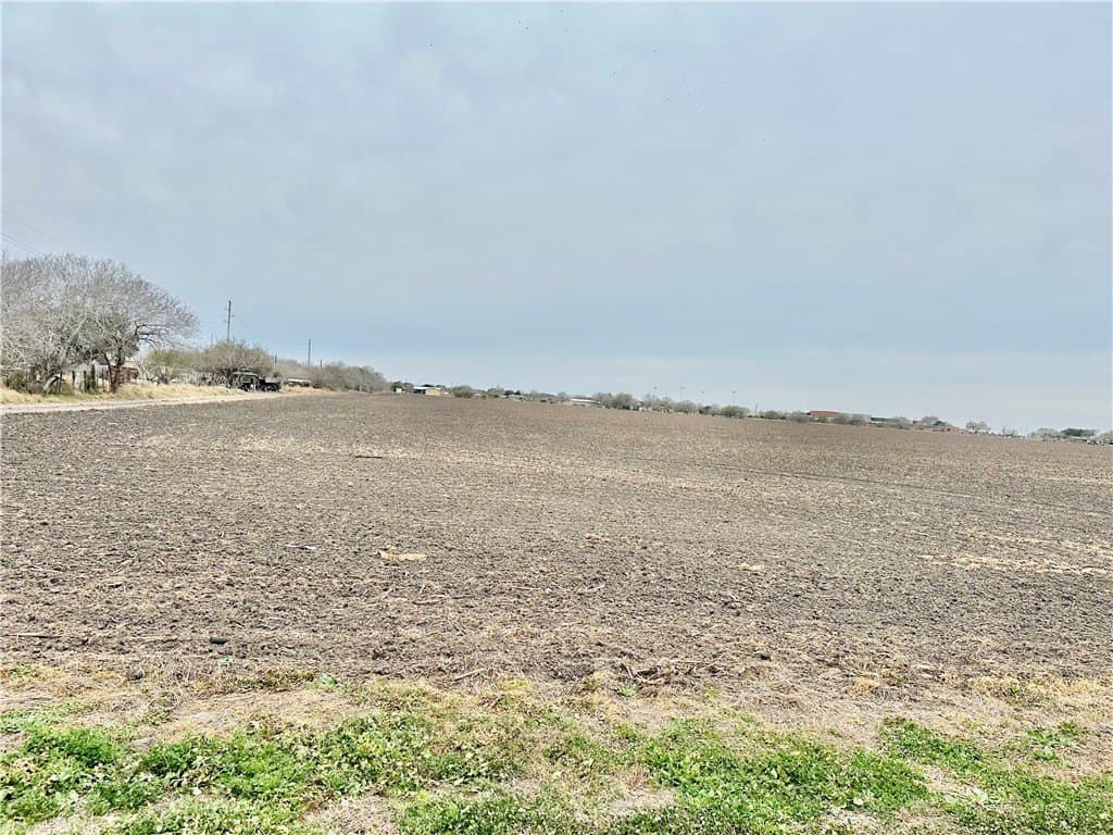 54.08 acres in Nueces County - photo 14