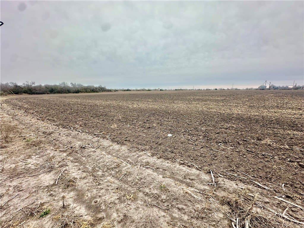 54.08 acres in Nueces County - photo 6