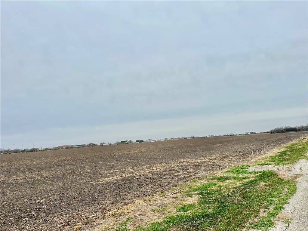54.08 acres in Nueces County - photo 11