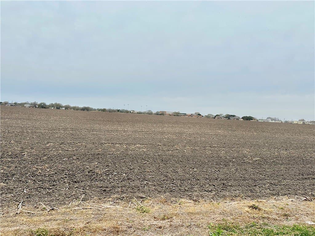 54.08 acres in Nueces County - photo 9