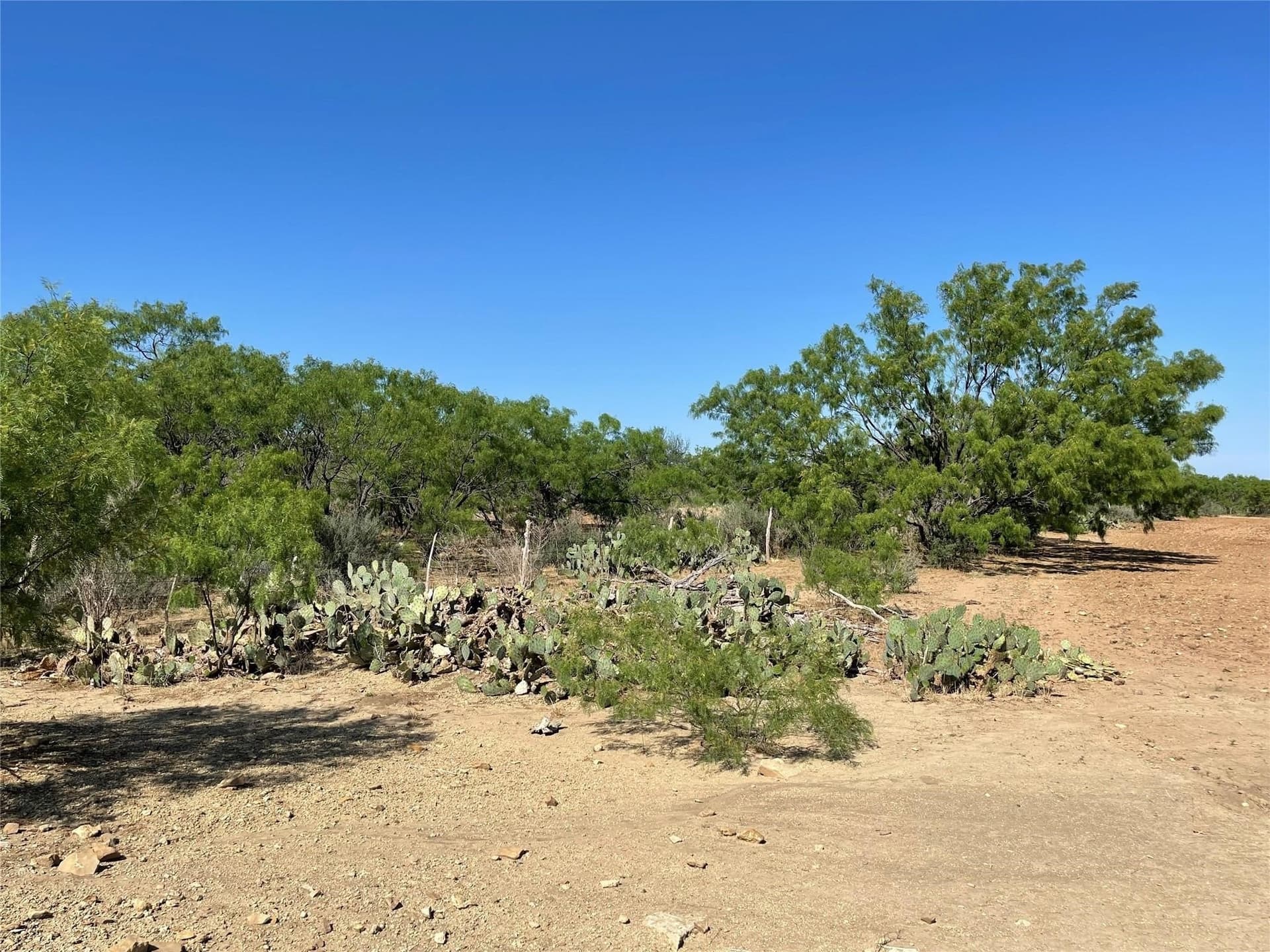 211 acres in Coleman County - photo 16