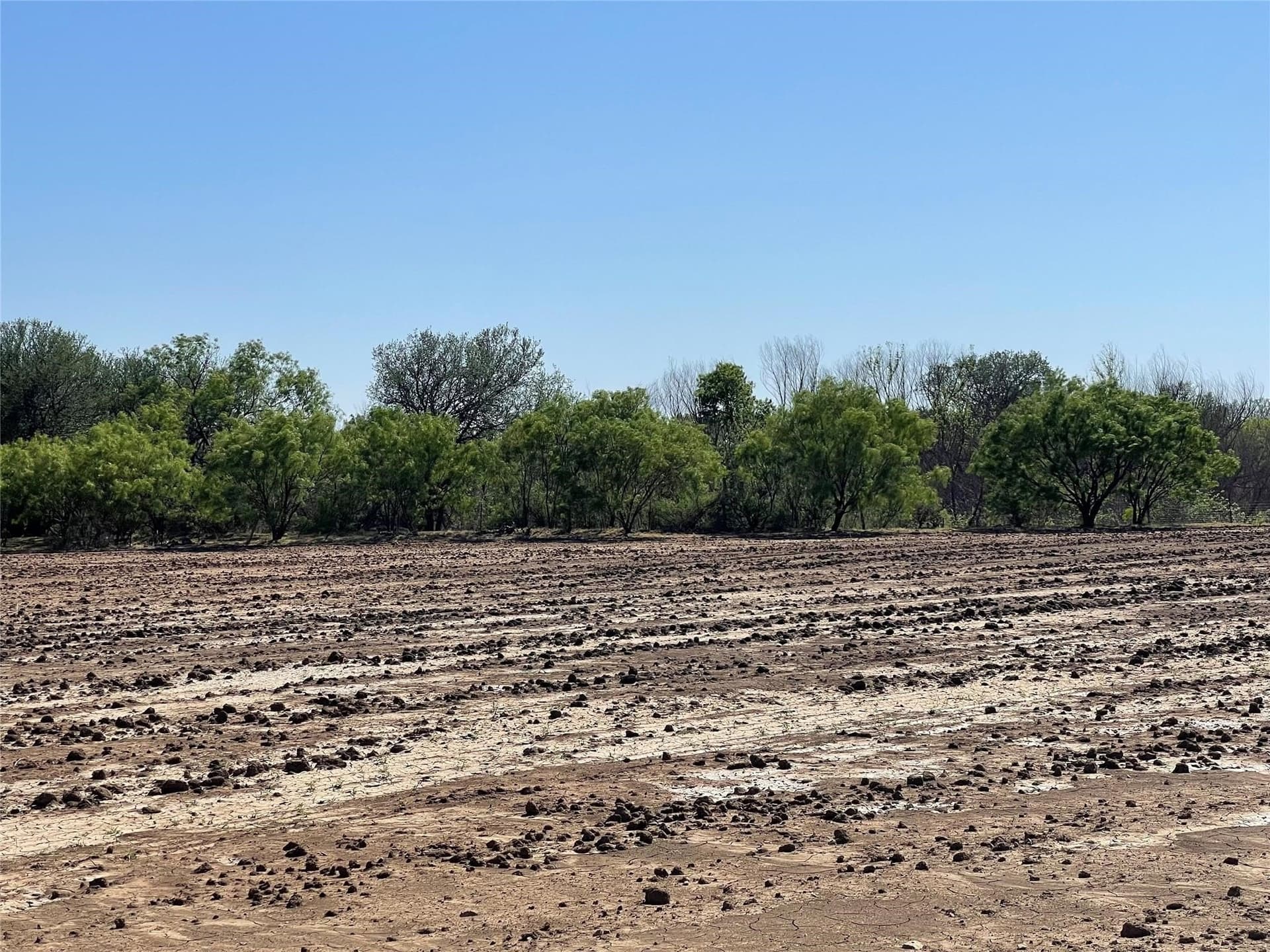 211 acres in Coleman County - photo 17