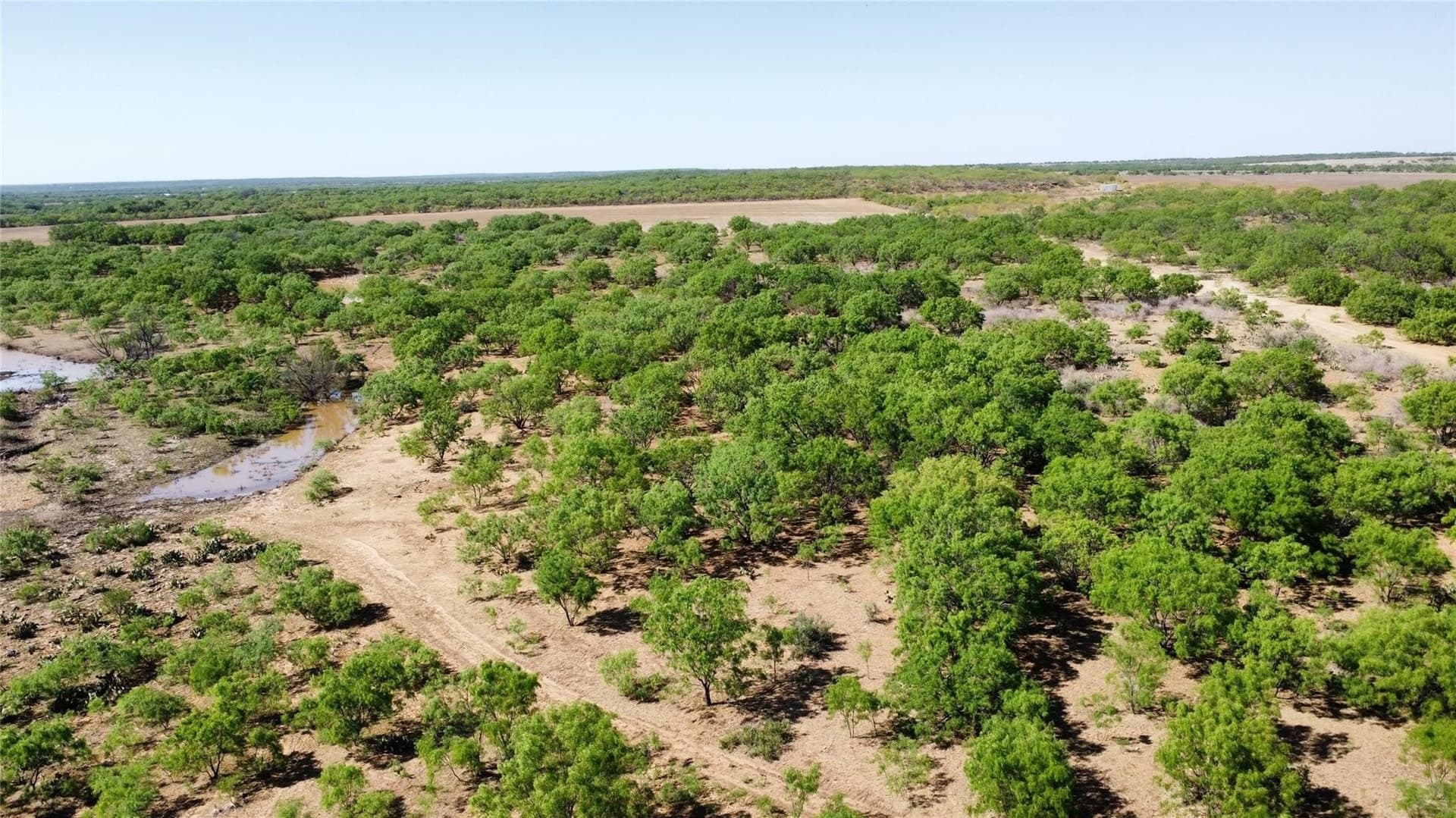 211 acres in Coleman County - photo 10