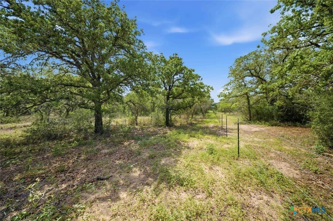 22.72 acres in Goliad County gallery image 3
