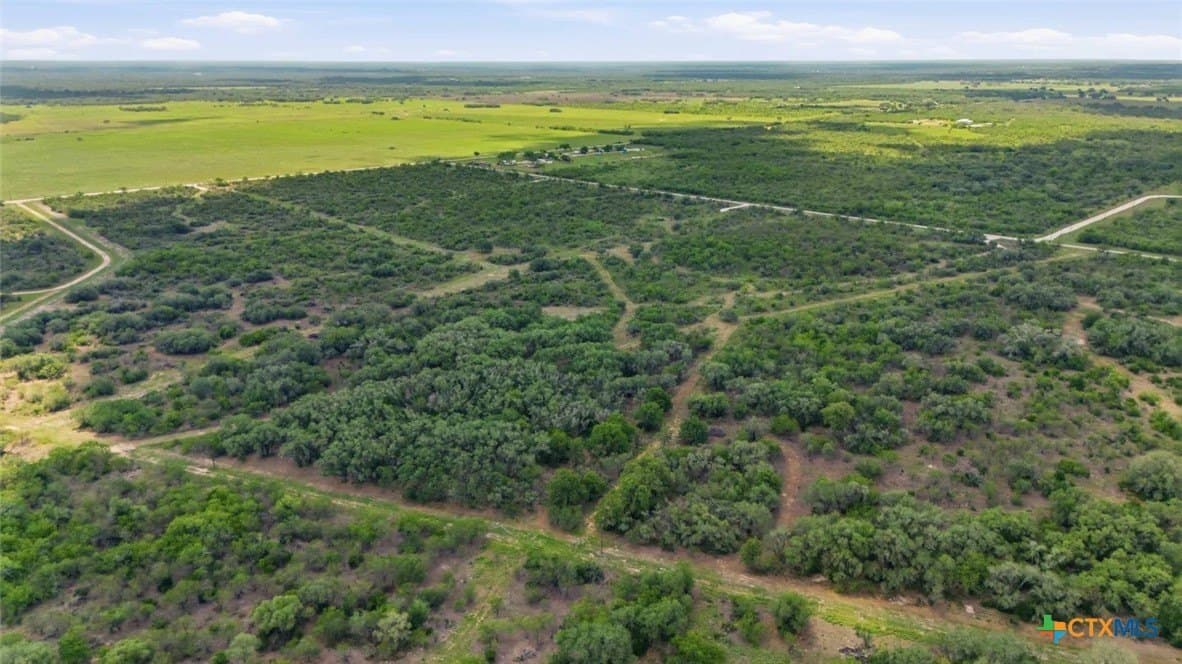 22.72 acres in Goliad County gallery image 4