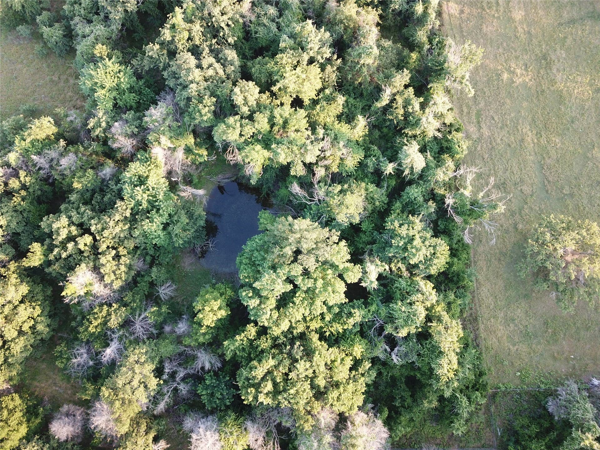 4.63 acres in Wise County gallery image 4