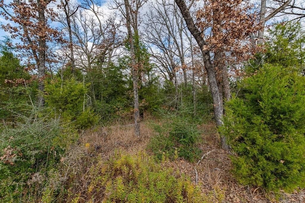 10 acres in Henderson County featured view
