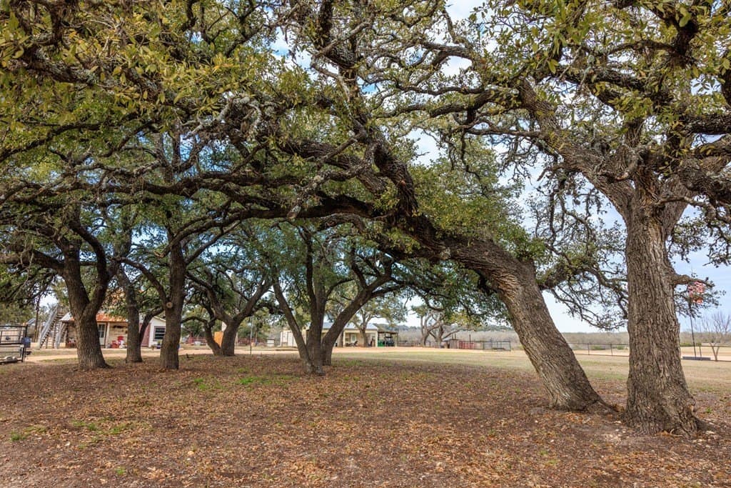 21 acres in Gillespie County - photo 33