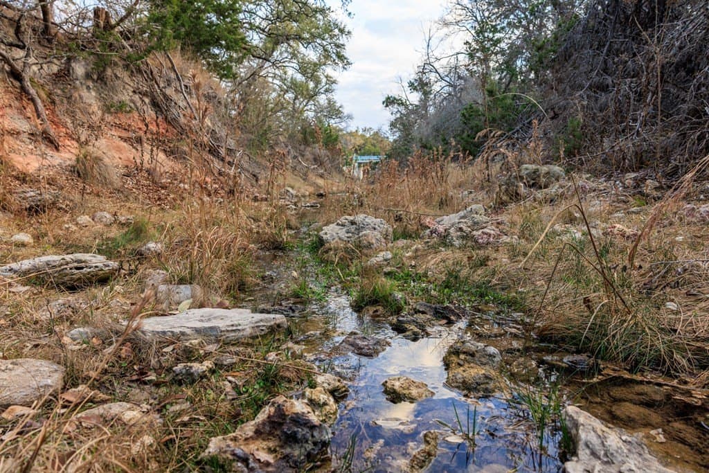 21 acres in Gillespie County - photo 38