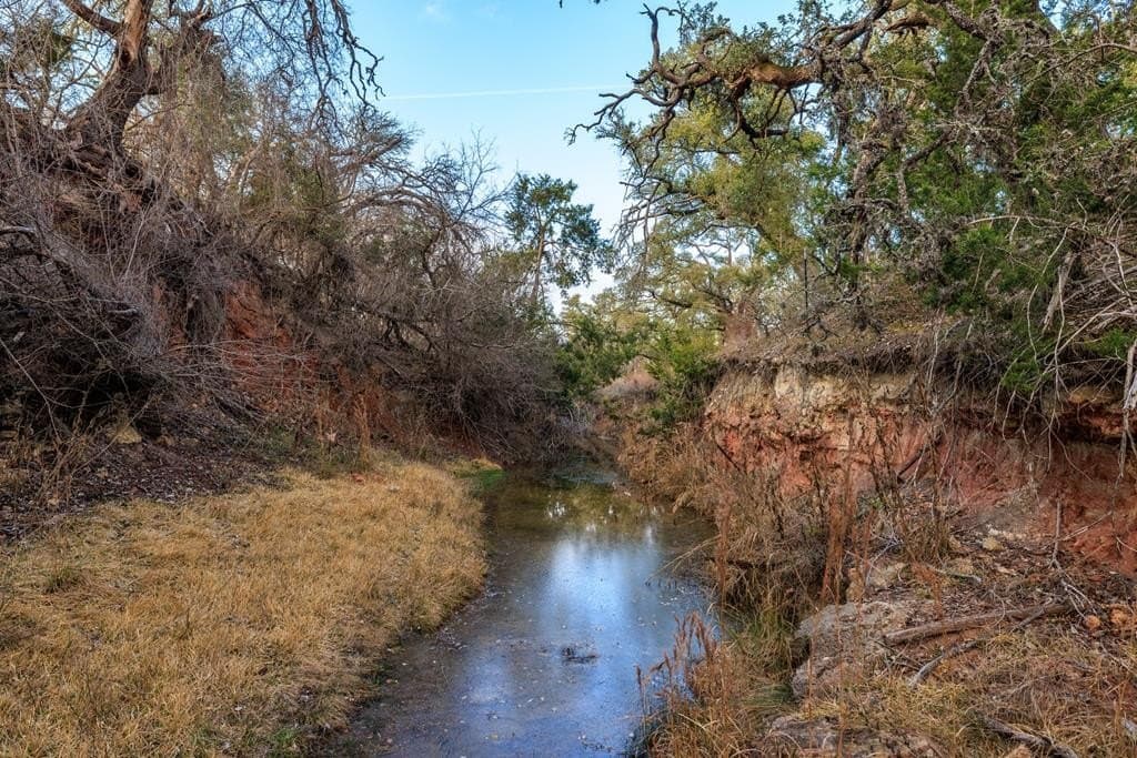 21 acres in Gillespie County - photo 37