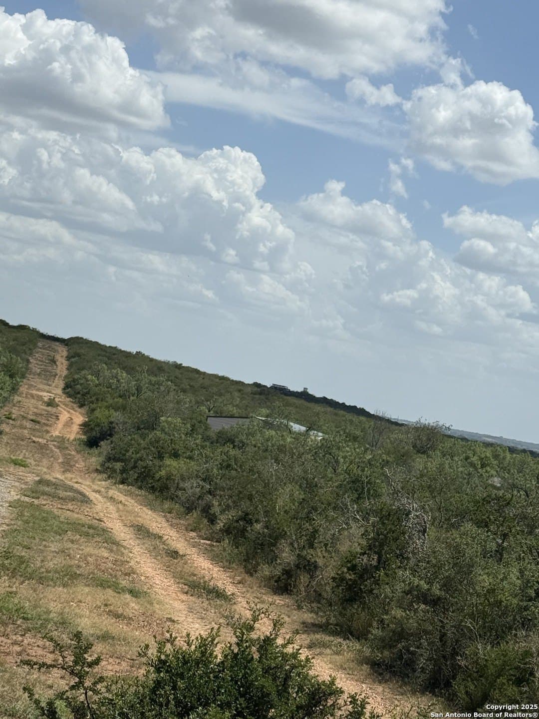 25 acres in Medina County - photo 5