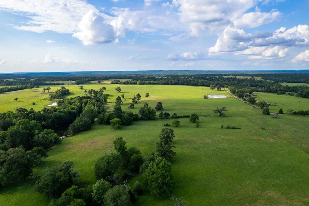 100.4 acres in ANDERSON County - photo 6