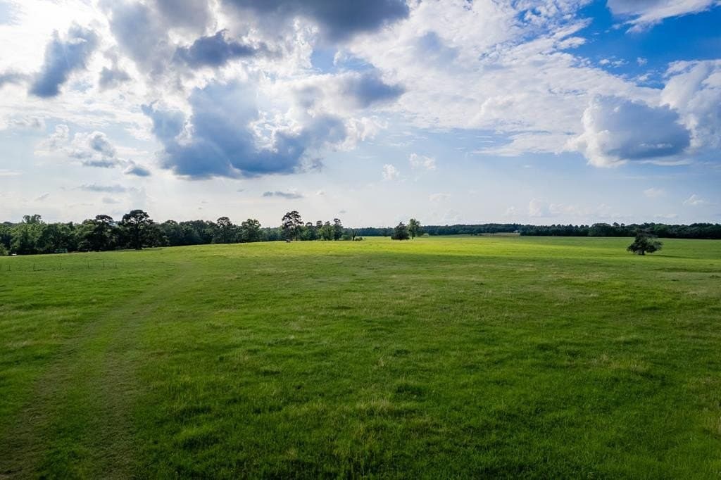 100.4 acres in ANDERSON County gallery image 4