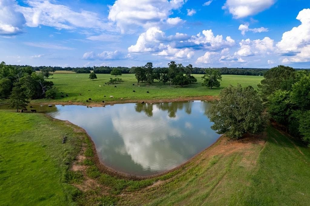 100.4 acres in ANDERSON County gallery image 2