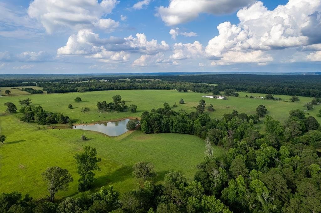 100.4 acres in ANDERSON County gallery image 3