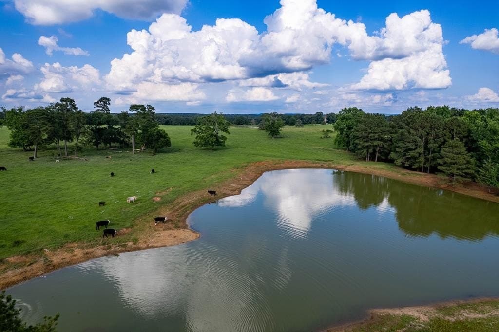 100.4 acres in ANDERSON County - photo 8