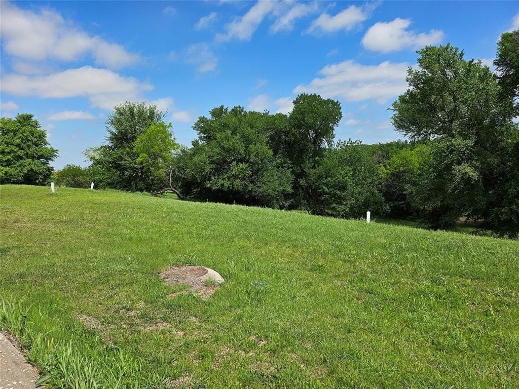1.32 acres in Dallas County gallery image 3