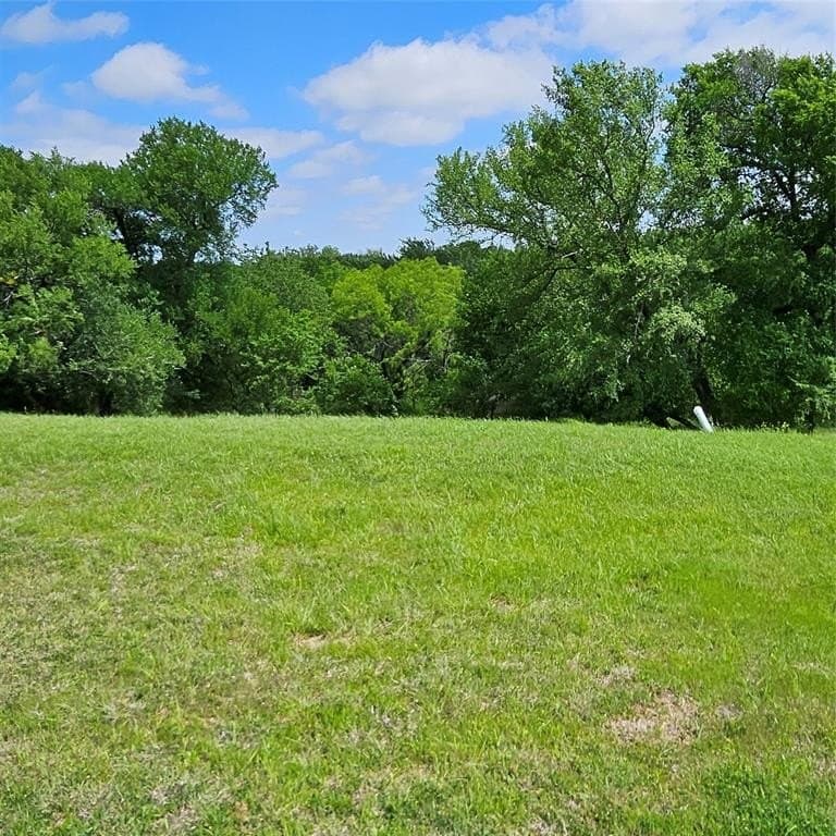1.32 acres in Dallas County featured view