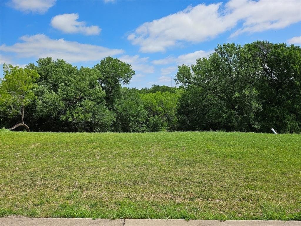 1.32 acres in Dallas County gallery image 2