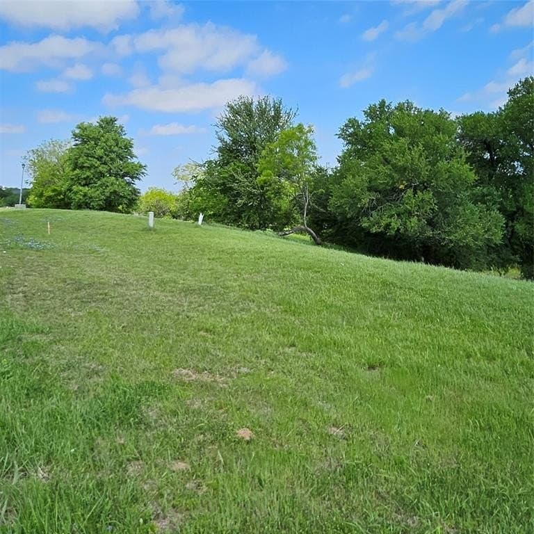 1.32 acres in Dallas County gallery image 4