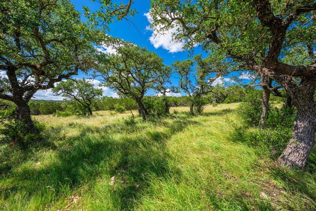 100 acres in Real County - photo 6