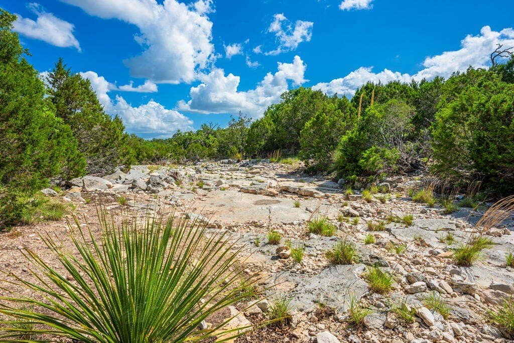 100 acres in Real County - photo 24