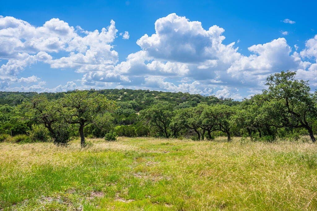 100 acres in Real County - photo 4